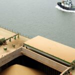La competitividad de la soja argentina, en jaque por el costo del flete | FM Avenida