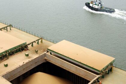 La competitividad de la soja argentina, en jaque por el costo del flete | FM Avenida