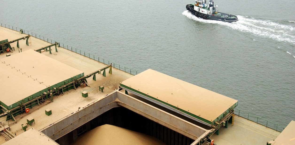 La competitividad de la soja argentina, en jaque por el costo del flete | FM Avenida