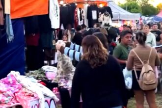La feria y la bronca: la polémica volvió a encenderse con los puestos del festival en el Paseo Público | FM Avenida