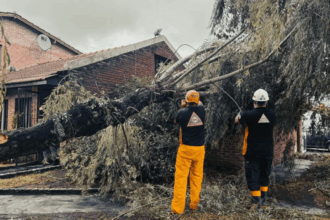 Las consecuencias del mal tiempo y cómo sigue el clima este Fin de semana XXL | FM Avenida