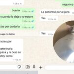 Le dijeron que tenían a su gata y le pidieron 40 mil pesos para devolverla | FM Avenida