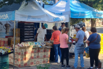 Mercados Bonaerenses: los camiones de pastas, lácteos y pescados recorren San Pedro y sus localidades | FM Avenida
