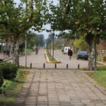 Nuevo foco de gripe aviar en la Provincia: detectan un caso en una granja de Bolívar y ya son cuatro en el país | FM Avenida