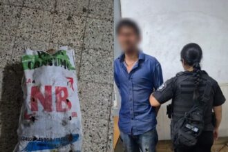 Pergamino: detuvieron a un hombre por robar una bolsa de papas de una verdulería | FM Avenida