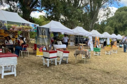 San Pedro participó del 9° Encuentro Nacional de Criadores de Abejas Reinas en General Belgrano | FM Avenida