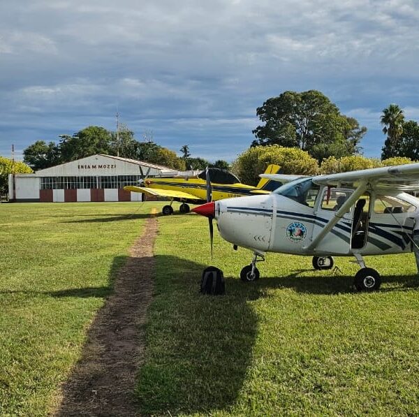 San Pedro será sede de una capacitación regional sobre seguridad y uso de medios aéreos ante incendios | FM Avenida