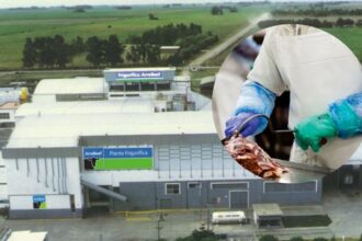 Suspenden a más de 300 trabajadores contratistas en el frigorífico ArreBeef de Pérez Millán | FM Avenida