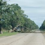 Temporal de lluvia: cayó un árbol en ruta 191 y hay tránsito asistido | FM Avenida