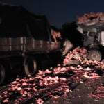 Tragedia en la ruta 9: uno de los choferes heridos está internado en el Hospital | FM Avenida