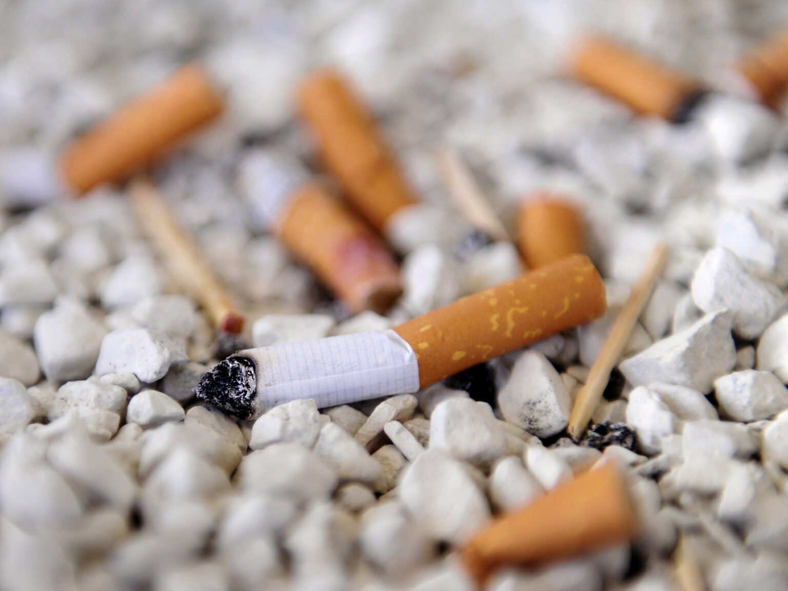 Un estudio demuestra que las colillas de cigarrillo dominan la basura mundial: "Son pequeñas bombas químicas que luego regresan en la cadena alimentaria de los humanos" | FM Avenida