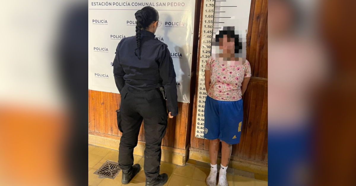 Una mujer aprehendida tras golpear a su pareja y arrojar piedras a la policía | FM Avenida