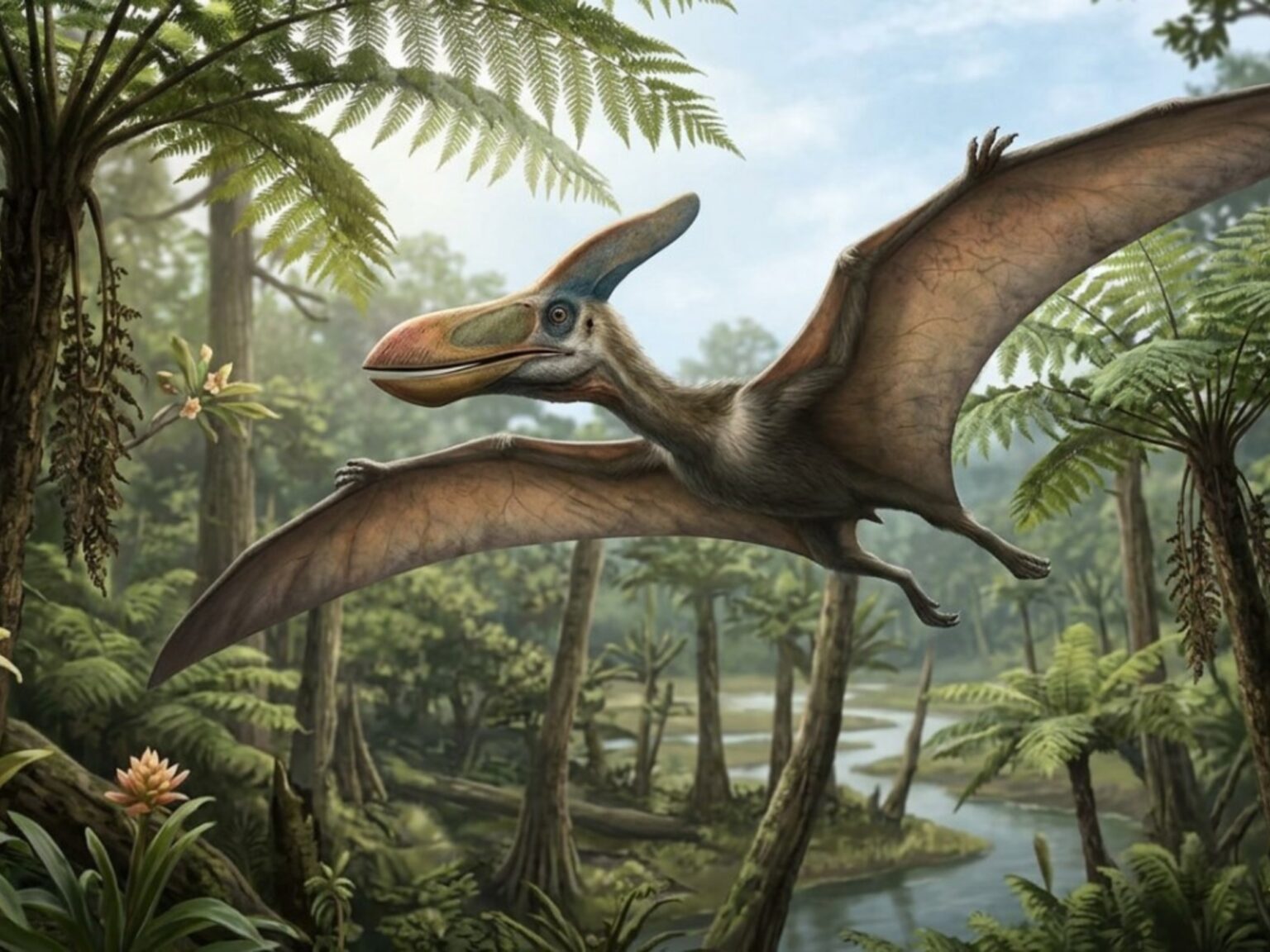 Volaba como un depredador, pero era vegetariano: el sorprendente caso del pterosaurio Sinopterus | FM Avenida