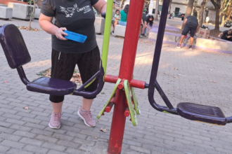 "El espacio público no es una unidad básica": en San Martín denuncian a militantes por pintar plazas con colores de LLA | FM Avenida