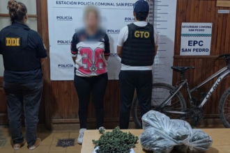 Allanamiento, secuestro de drogas y un cargador: una mujer detenida | FM Avenida
