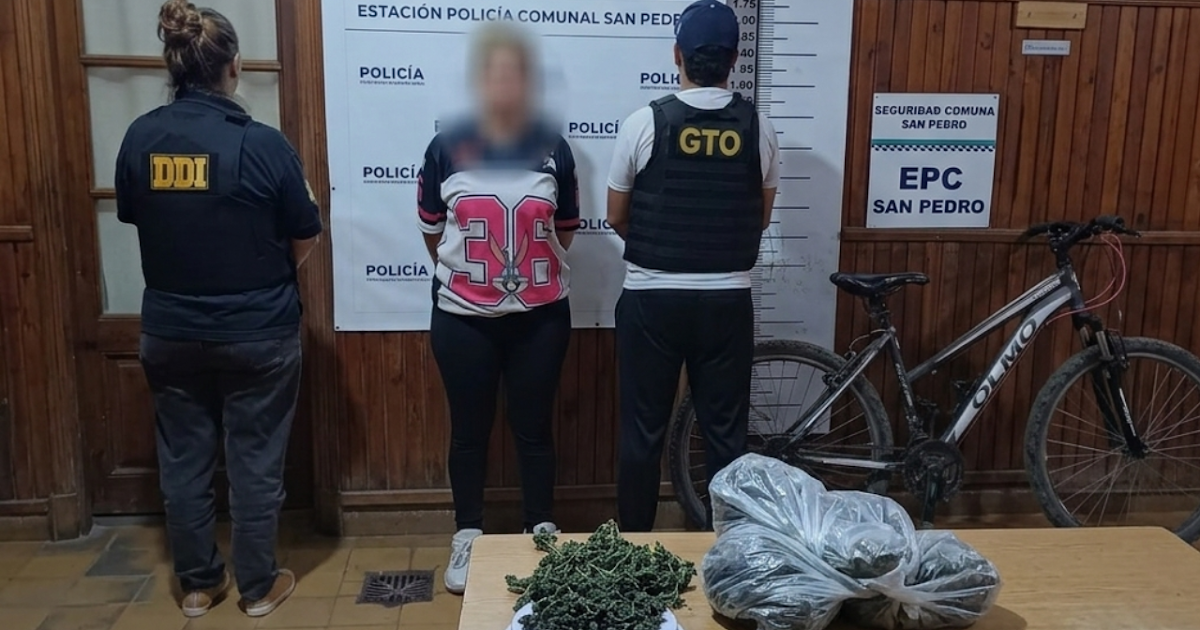Allanamiento, secuestro de drogas y un cargador: una mujer detenida | FM Avenida