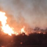 Apicultores condenados por incendios en el Delta presentan un recurso ante la Corte Suprema | FM Avenida