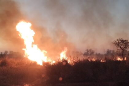 Apicultores condenados por incendios en el Delta presentan un recurso ante la Corte Suprema | FM Avenida
