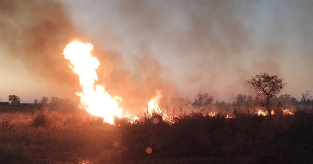 Apicultores condenados por incendios en el Delta presentan un recurso ante la Corte Suprema | FM Avenida