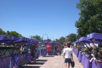 Arman ferias de mujeres emprendedoras en los puntos más turísticos de Tigre | FM Avenida