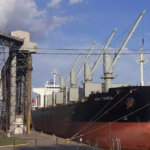 Carga de colza y girasol en el puerto de San Pedro con destino a Estados Unidos | FM Avenida