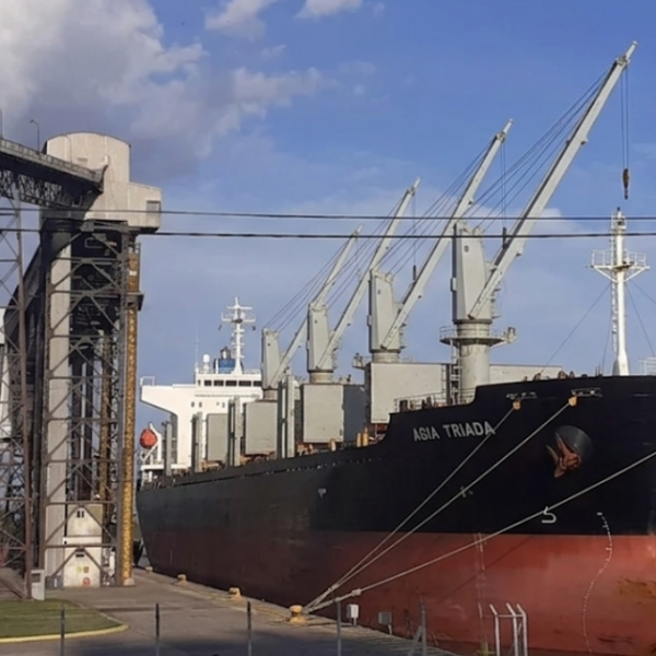 Carga de colza y girasol en el puerto de San Pedro con destino a Estados Unidos | FM Avenida