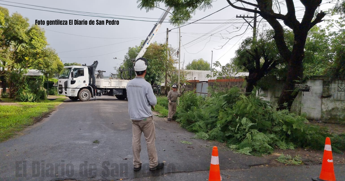 Corte de luz en Villa Igoillo luego de que un colectivo enganchara cables y tirara postes | FM Avenida
