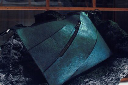 Crearon un bolso de lujo con proteína reconstruida del dinosaurio T-Rex | FM Avenida