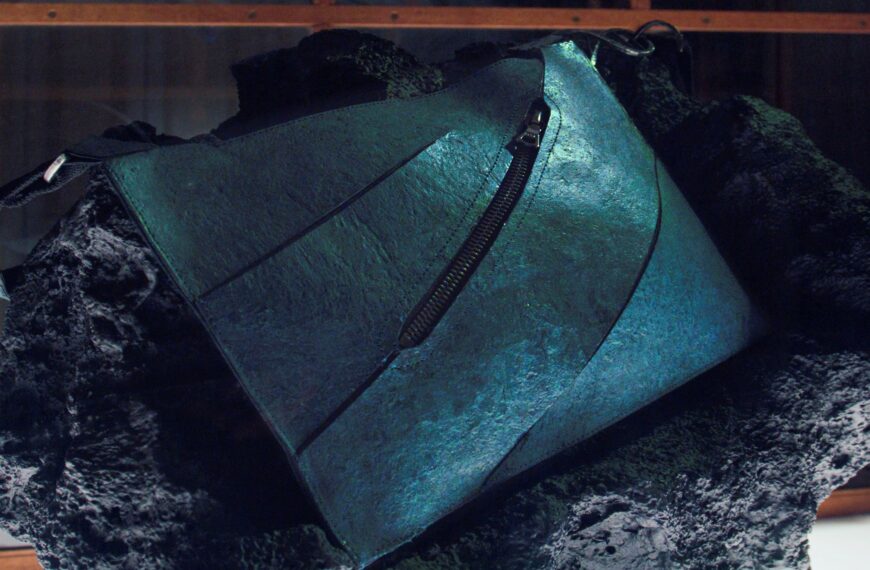 Crearon un bolso de lujo con proteína reconstruida del dinosaurio T-Rex | FM Avenida