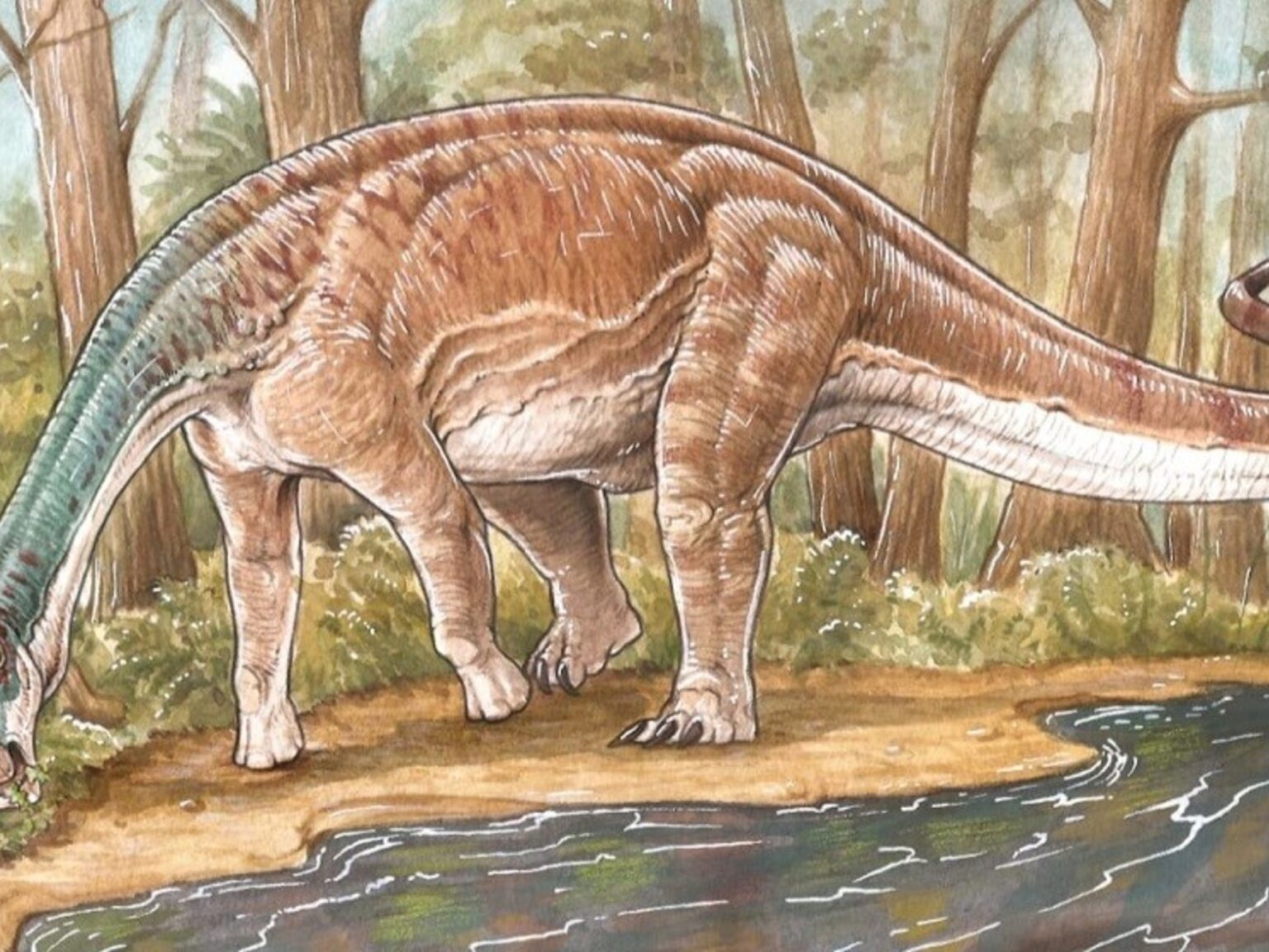 Descubrimiento histórico de cuatro huevos fósiles de titanosaurios en el corazón de España | FM Avenida