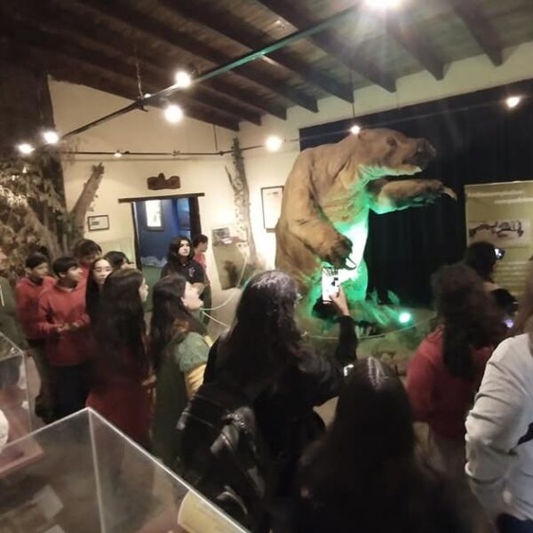 El Museo Paleontológico cumple 23 años de investigación y difusión | FM Avenida