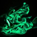 El increíble espectáculo luminoso de los gusanos de fuego en el agua | FM Avenida