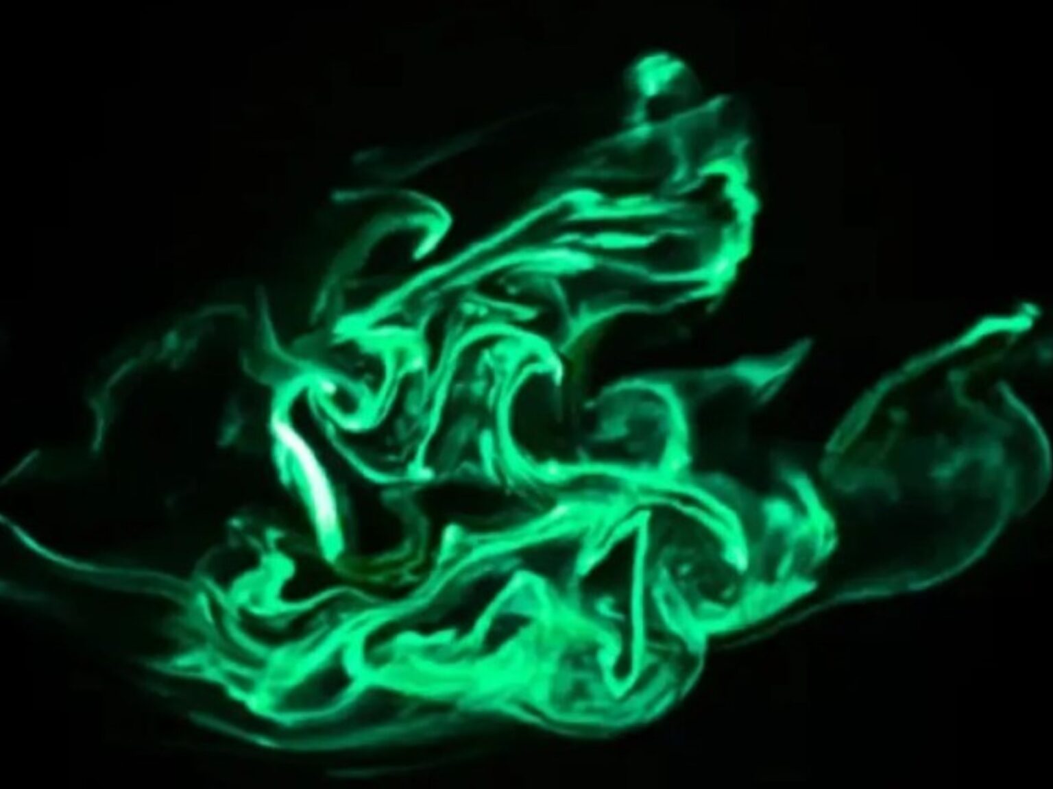 El increíble espectáculo luminoso de los gusanos de fuego en el agua | FM Avenida