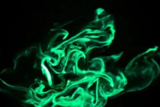 El increíble espectáculo luminoso de los gusanos de fuego en el agua | FM Avenida