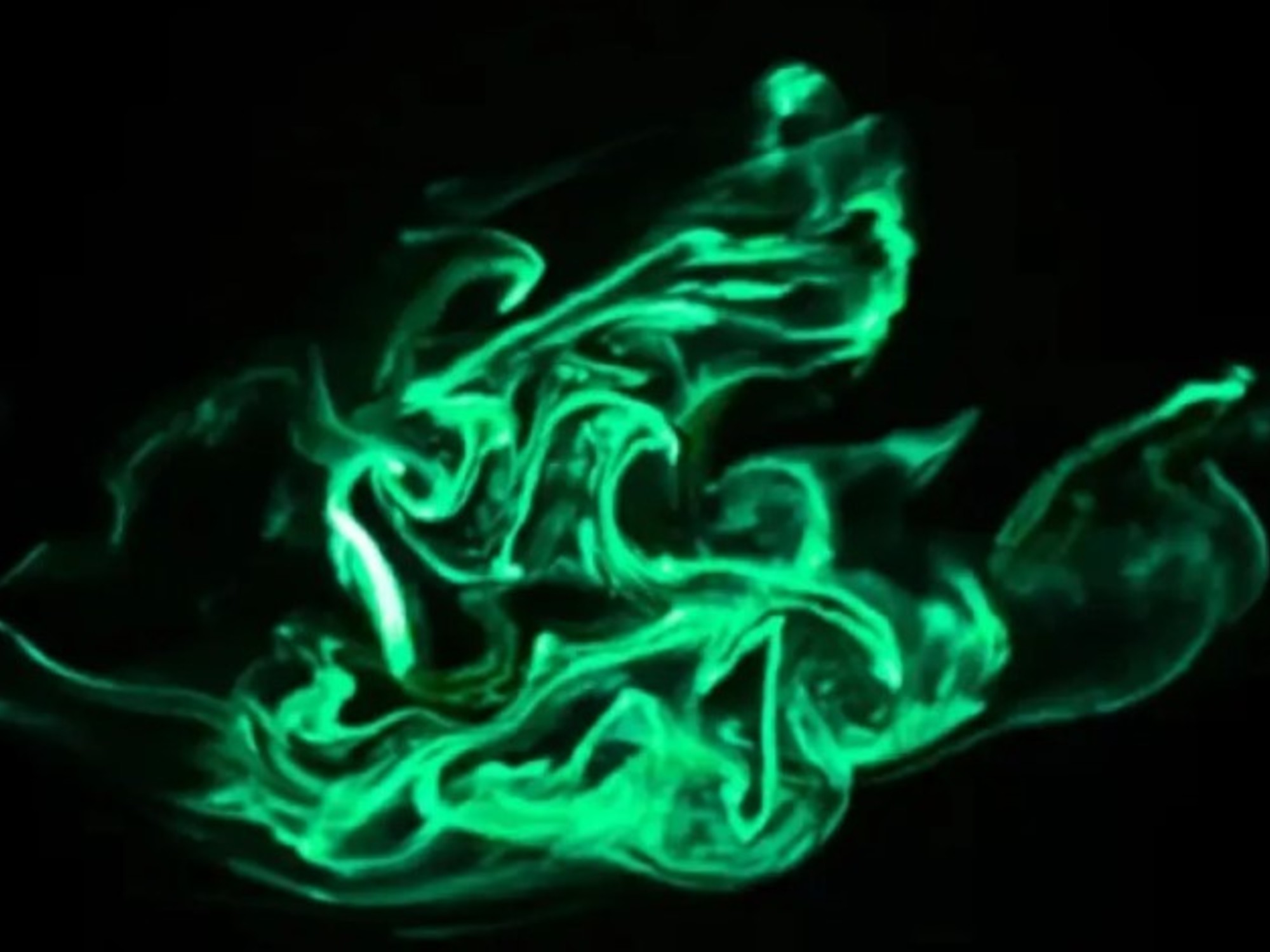 El increíble espectáculo luminoso de los gusanos de fuego en el agua | FM Avenida