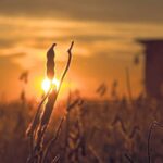 El valor de la noticia y el futuro del debate público | FM Avenida