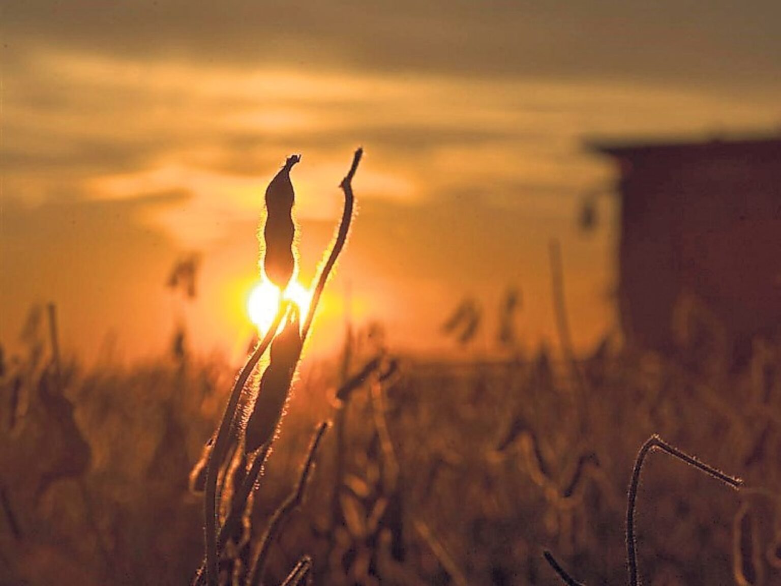 El valor de la noticia y el futuro del debate público | FM Avenida
