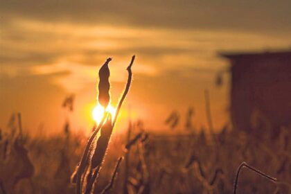 El valor de la noticia y el futuro del debate público | FM Avenida