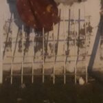 Encapuchados entraron a una casa forzando una reja y sorprendieron a un hombre mientras dormía | FM Avenida