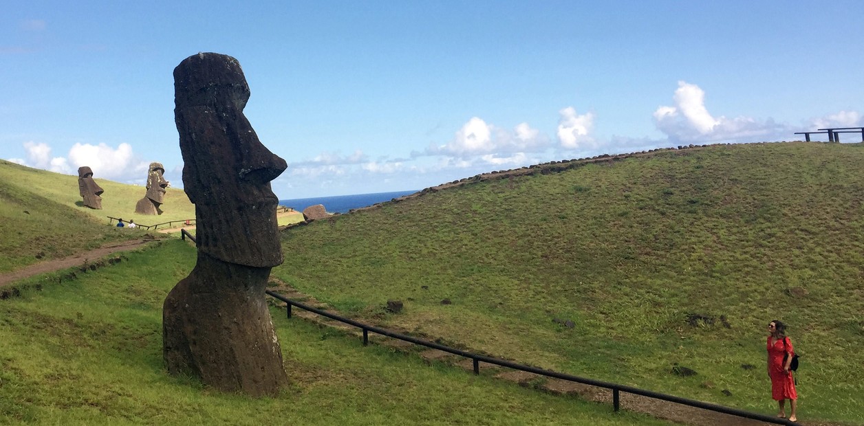 Expulsaron a este turista estadounidense para siempre y deberá pagar miles de dólares por causar daños en un parque nacional | FM Avenida