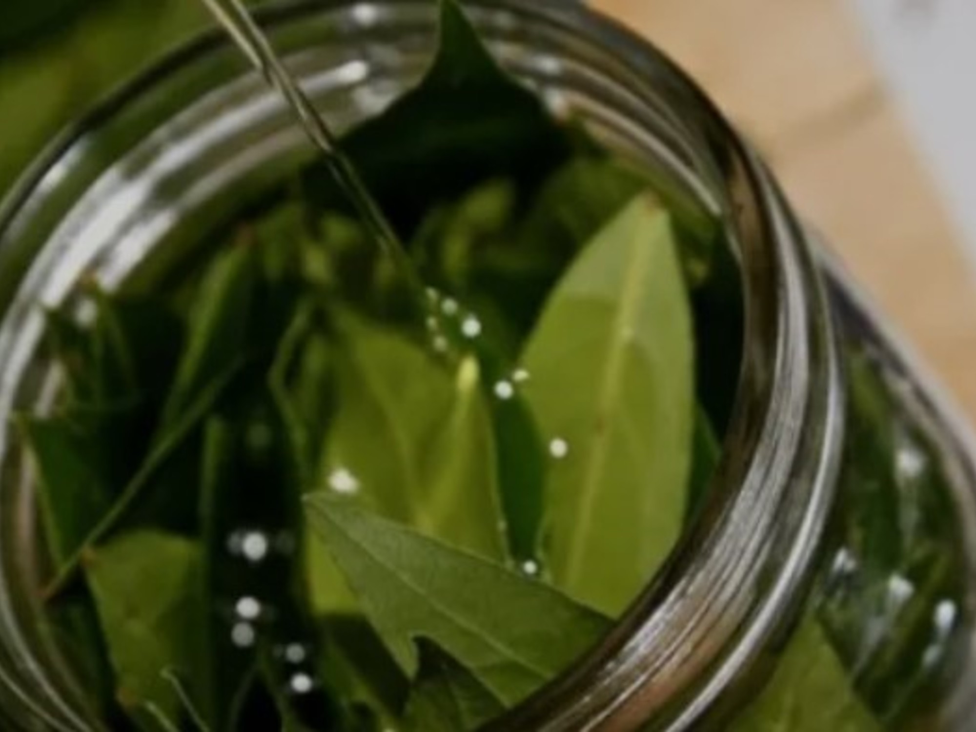 Hervir hojas de laurel en casa: por qué lo recomiendan y cuáles son sus beneficios | FM Avenida