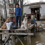 Isleños del Delta del Paraná convocan a una “Gran Asamblea” en San Pedro para reclamar respuestas ante el abandono estatal | FM Avenida