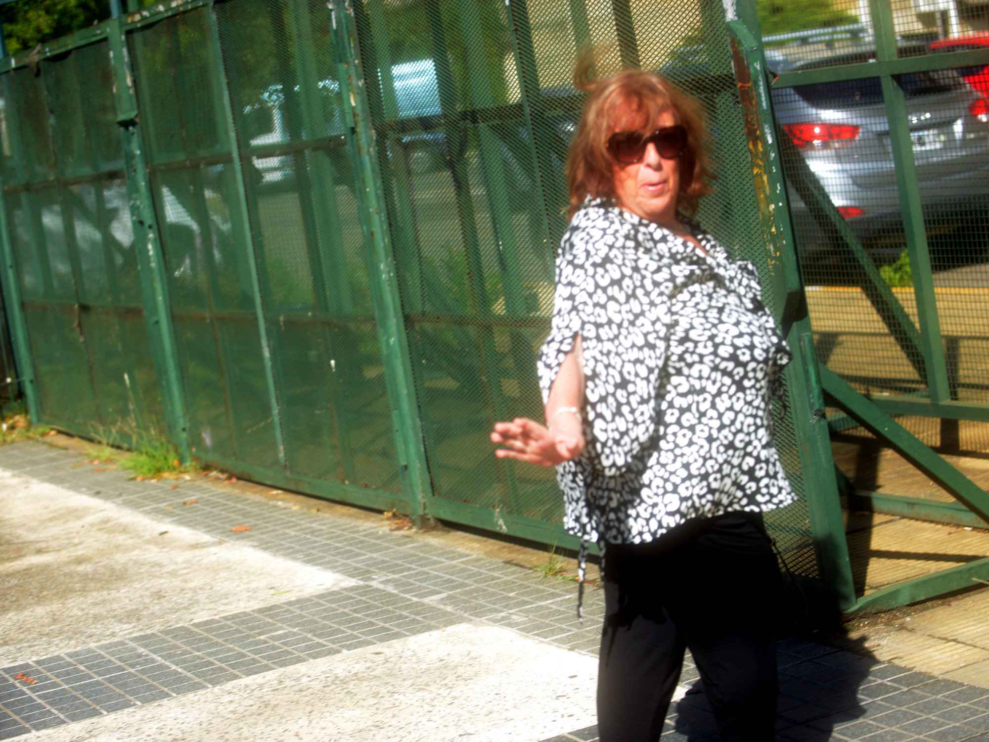 La ex fiscal Fein vuelve a declarar en la causa por las irregularidades en la escena de la muerte de Nisman | FM Avenida