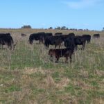 Llueve sopa... un tenedor en la mano | FM Avenida