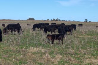 Llueve sopa... un tenedor en la mano | FM Avenida