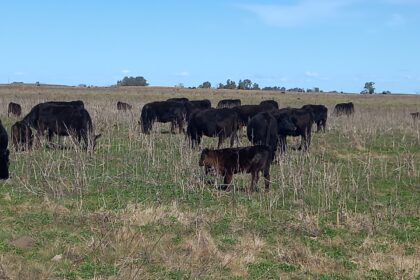 Llueve sopa... un tenedor en la mano | FM Avenida