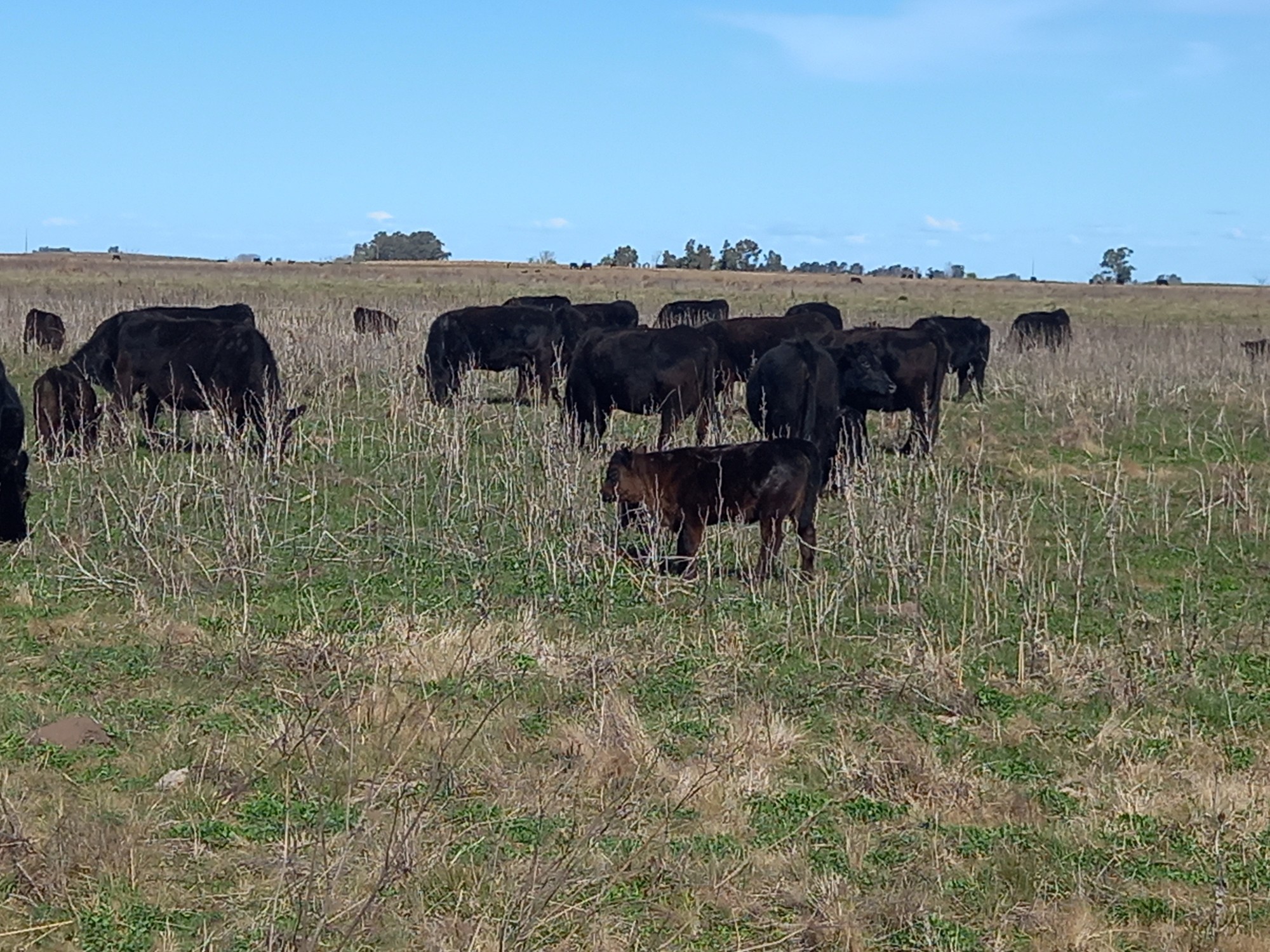 Llueve sopa... un tenedor en la mano | FM Avenida