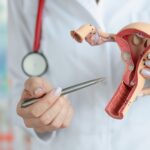 Nuevo mapa 3D del clítoris: qué cambia y por qué redefine lo que se sabía sobre el placer femenino | FM Avenida