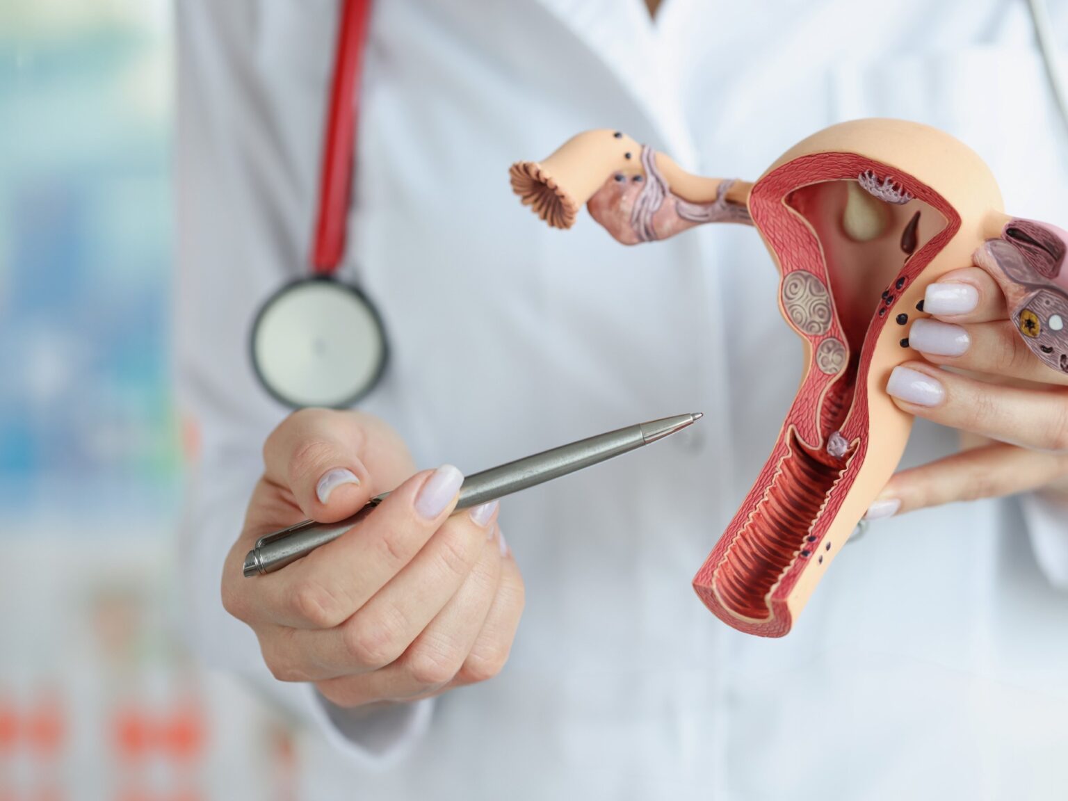 Nuevo mapa 3D del clítoris: qué cambia y por qué redefine lo que se sabía sobre el placer femenino | FM Avenida