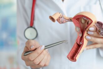 Nuevo mapa 3D del clítoris: qué cambia y por qué redefine lo que se sabía sobre el placer femenino | FM Avenida